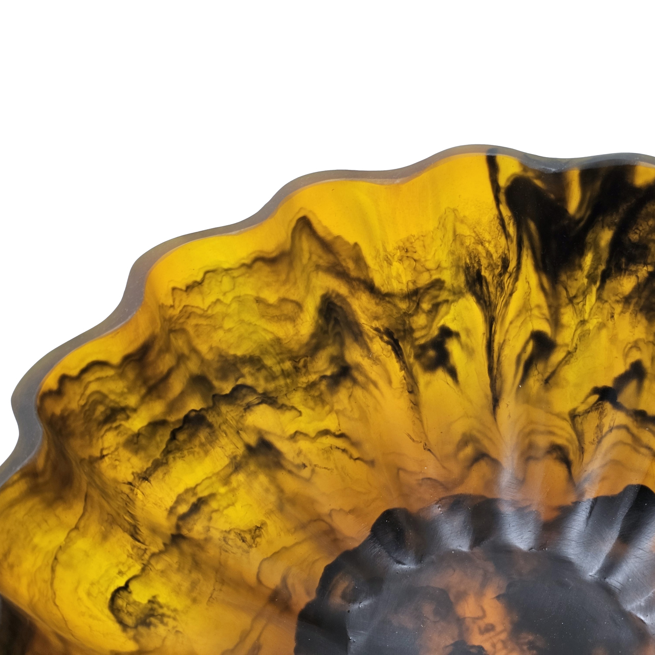 Schale Meadow tortoise large