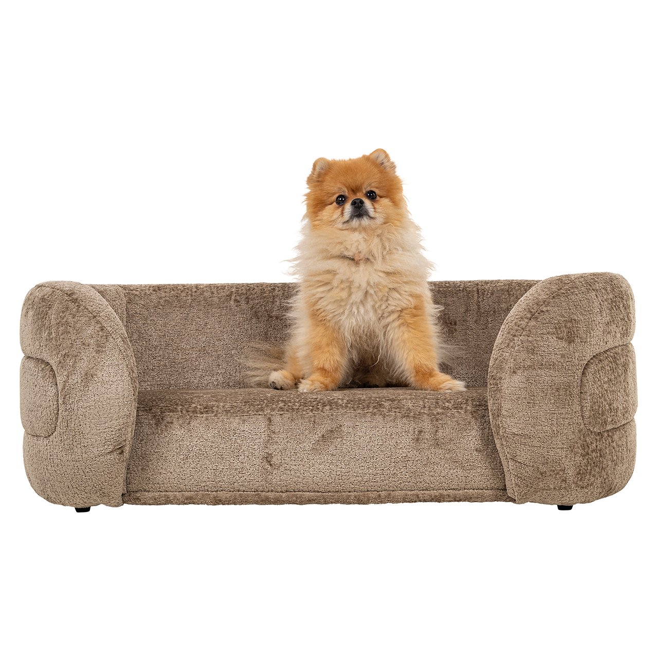 Haustierbett Bingo taupe chenille (Bergen 104 taupe chenille) Haustierbett Bingo taupe chenille (Bergen 104 taupe chenille)