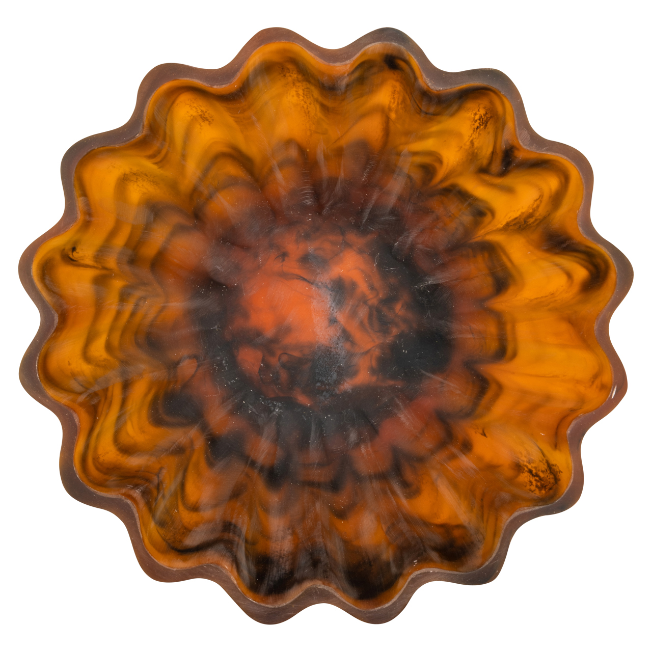 Schale Meadow tortoise large