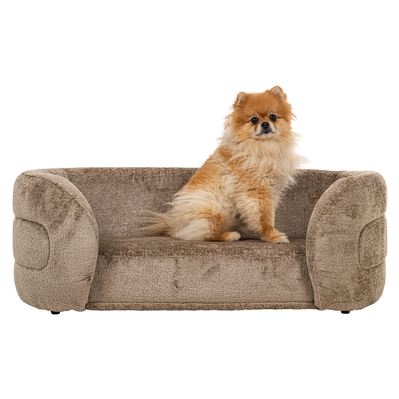 Haustierbett Bingo taupe chenille (Bergen 104 taupe chenille) Haustierbett Bingo taupe chenille (Bergen 104 taupe chenille)