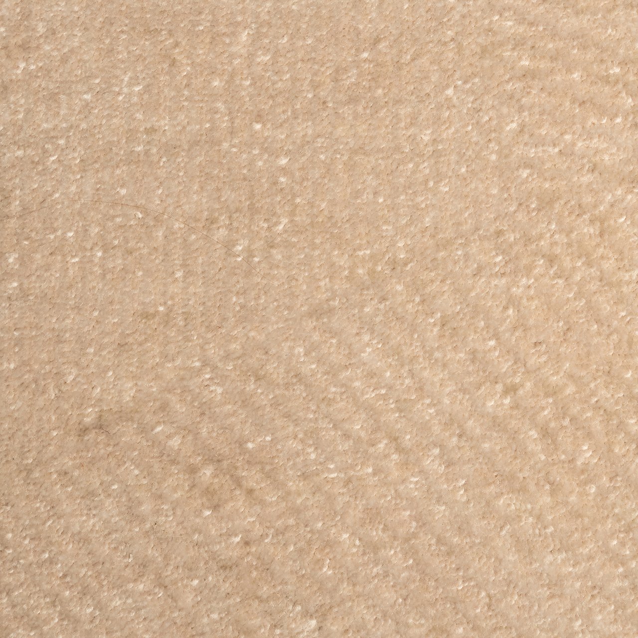 Teppich Beliz beige 200x300 (Beige)