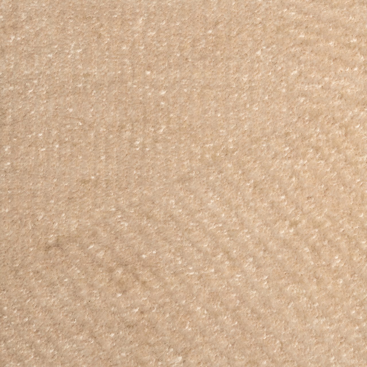 Teppich Beliz beige 200x300 (Beige)