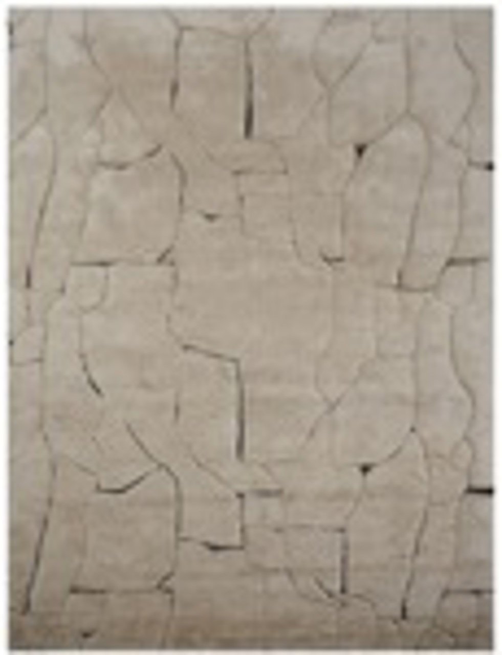 Teppich Bhawan brown 200x300